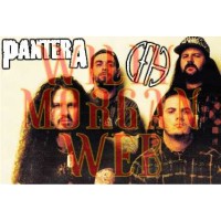 Pantera 2